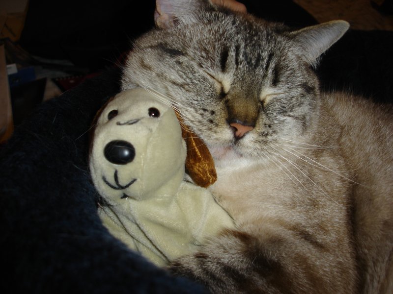 [http://www.massassi.com/etc/lilu_3.jpg]